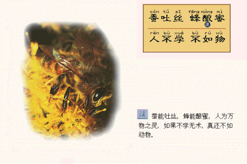 三字经