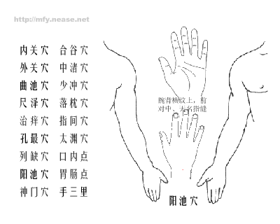 上肢穴位图